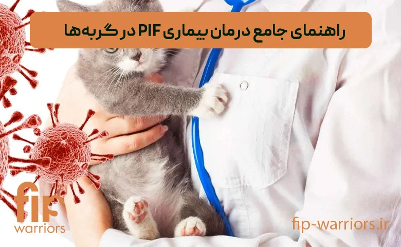 چگونه داروی GS برای درمان FIP گربه ها را در ایران خریداری کنیم؟