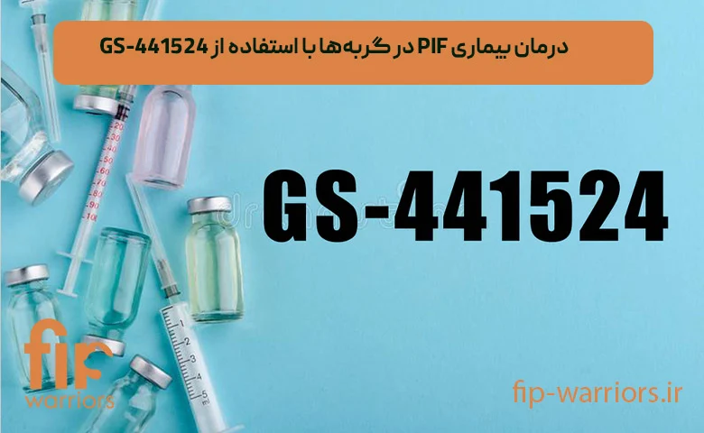 چگونه داروی GS برای درمان FIP گربه ها را در ایران خریداری کنیم؟