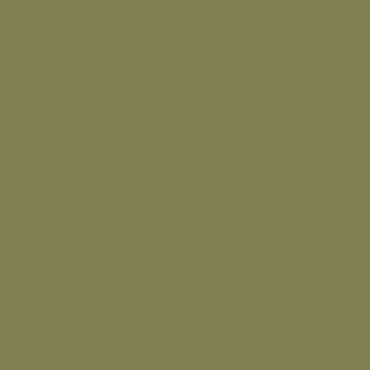 بررسی فون کاغذی Savage Widetone Seamless #34 Olive Green