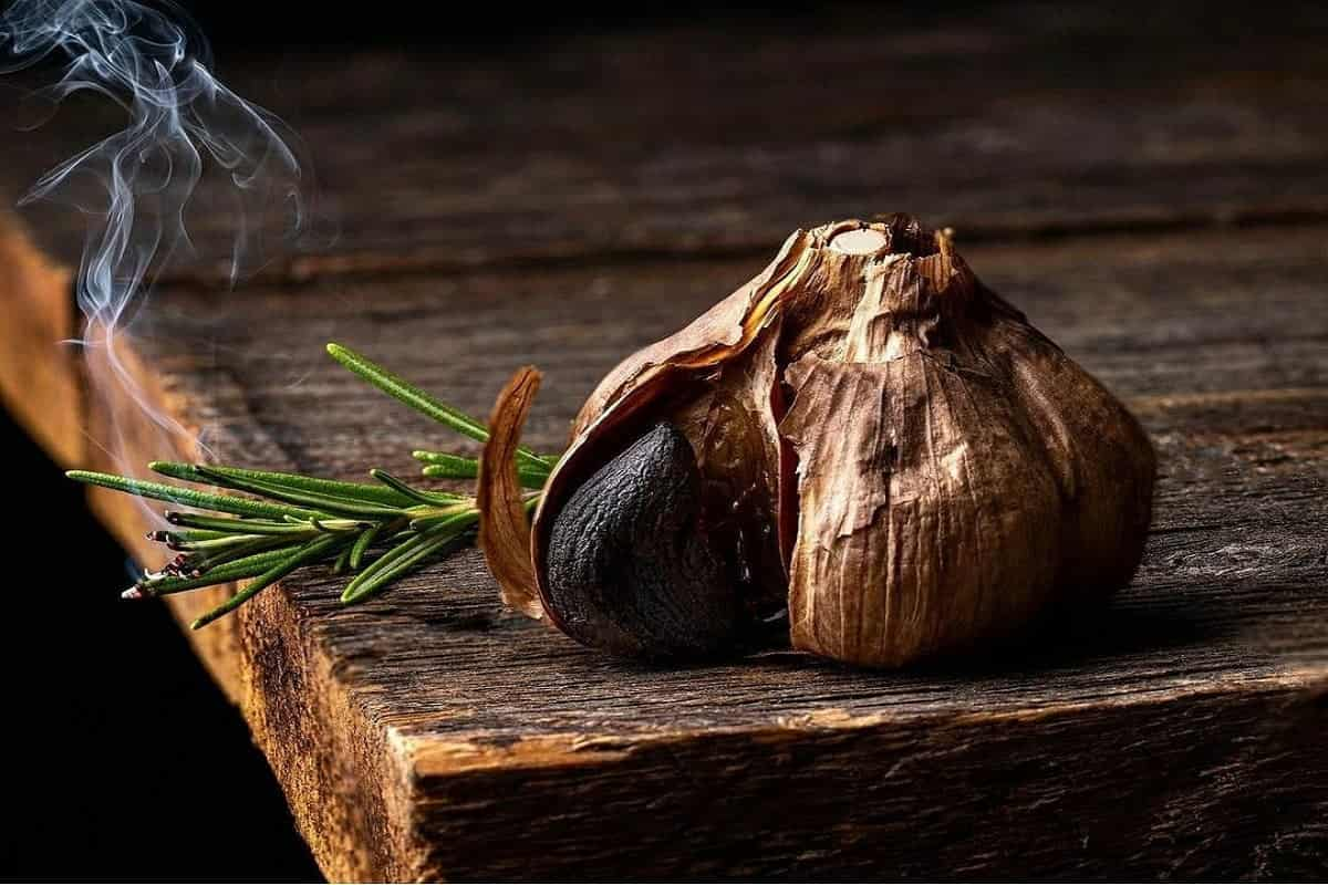  روغن سیر سیاه برای درمان ریزش مو و تقویت مو