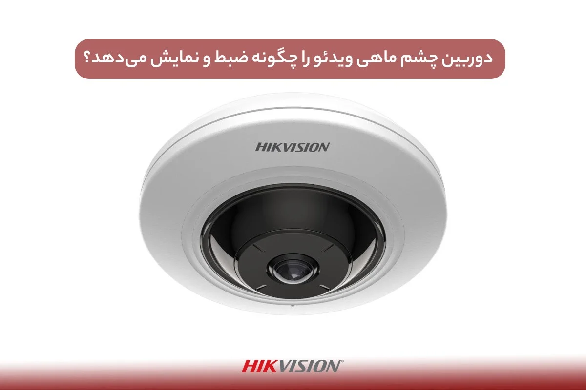 بررسی کیفیت تصویر در دوربین های چشم ماهی؛ آیا ارزش خرید دارند؟