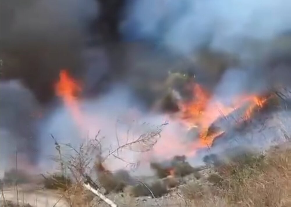 بخشی از باغات منطقه کوهستانی رمون شهرستان جیرفت طعمه حریق شد