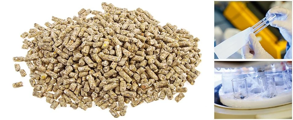 صنعت چطور خط تولید خوراک دام راه اندازی کنیم؟ از تجهیزات تا فرمولاسیون