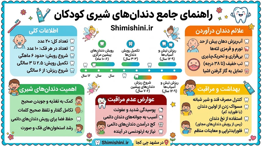 درمان | دندانپزشکی تعداد دندان شیری