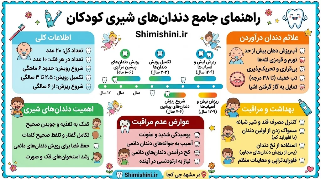 درمان | دندانپزشکی تعداد دندان شیری