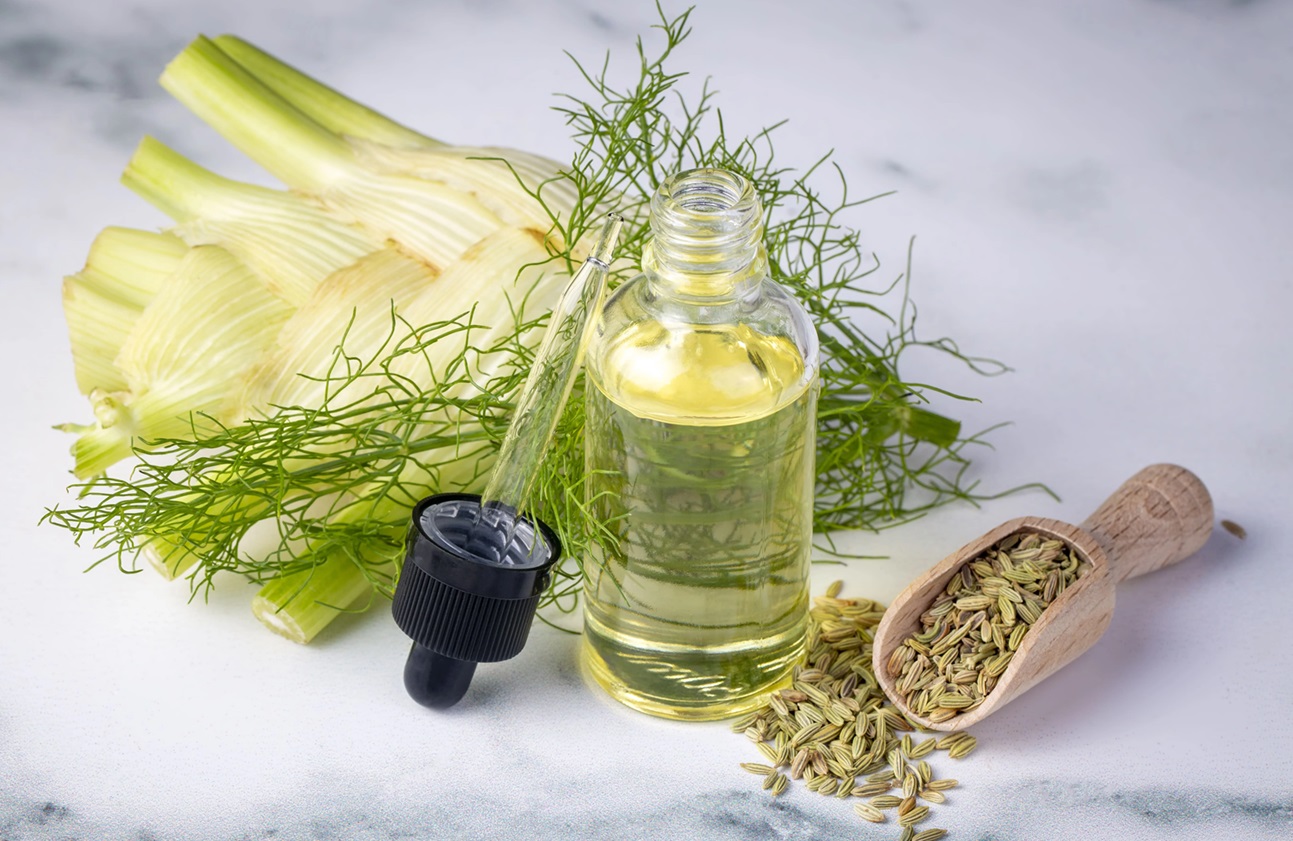 روغن | ماساژ روغن حامل رازیانه چیست